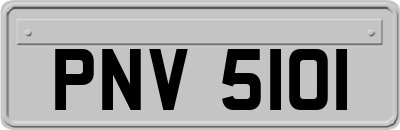 PNV5101