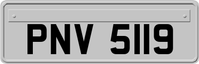 PNV5119