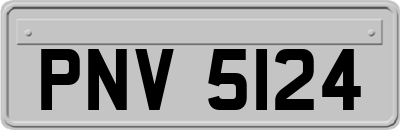 PNV5124