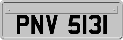 PNV5131