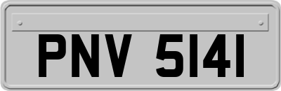 PNV5141