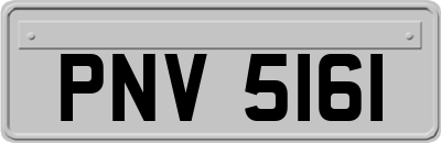 PNV5161