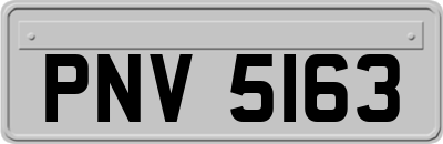 PNV5163