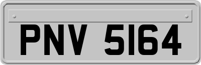 PNV5164