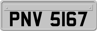 PNV5167