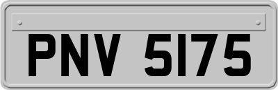 PNV5175