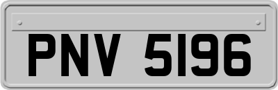 PNV5196