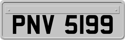 PNV5199