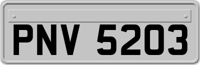 PNV5203