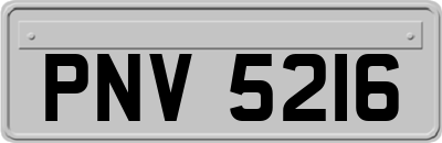 PNV5216