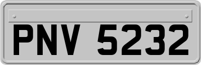 PNV5232