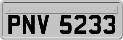PNV5233