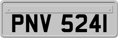 PNV5241