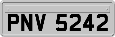 PNV5242