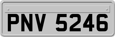 PNV5246