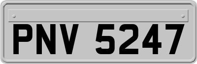 PNV5247