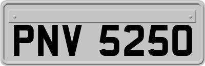 PNV5250