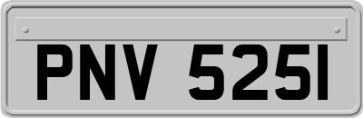 PNV5251