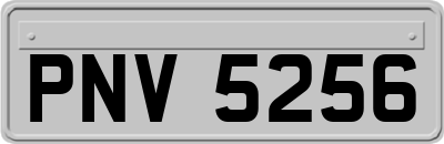 PNV5256