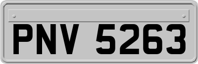 PNV5263