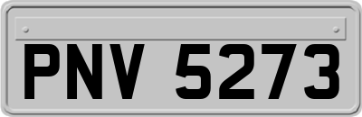 PNV5273