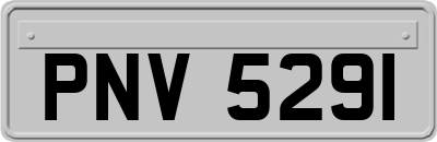 PNV5291