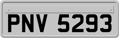 PNV5293
