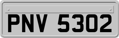 PNV5302