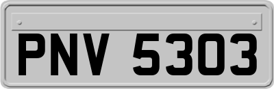PNV5303