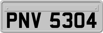 PNV5304