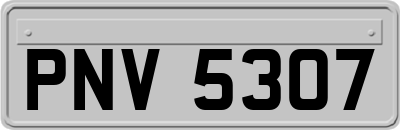 PNV5307