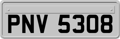 PNV5308