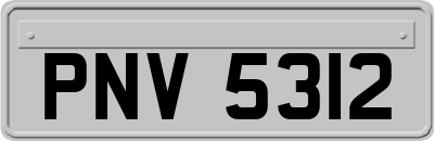 PNV5312