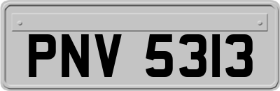PNV5313