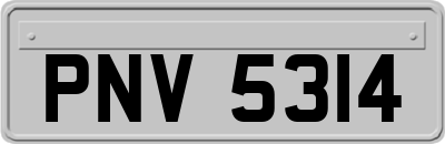 PNV5314