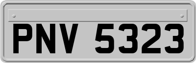 PNV5323