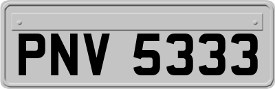 PNV5333