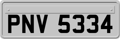 PNV5334