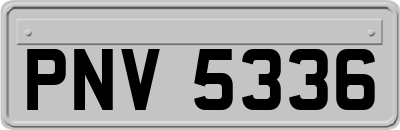PNV5336