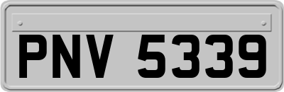 PNV5339