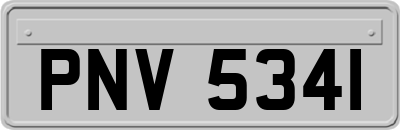 PNV5341