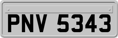 PNV5343