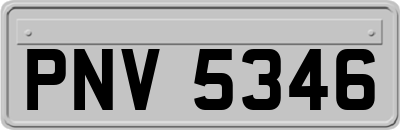 PNV5346
