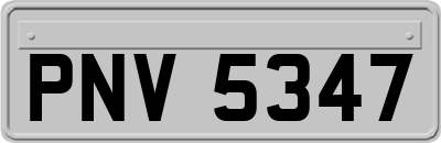 PNV5347