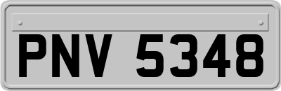 PNV5348