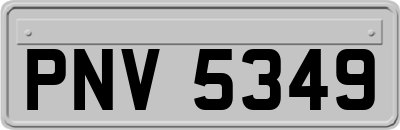 PNV5349