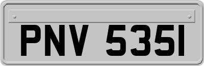 PNV5351