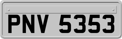 PNV5353