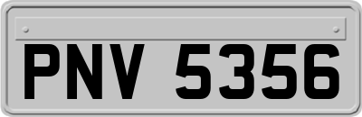 PNV5356