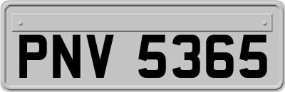 PNV5365